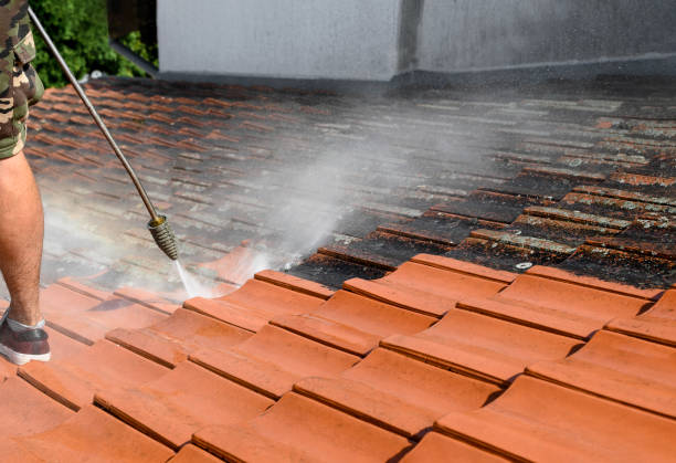 Best Residential Pressure Washing Services  in Apalachin, NY