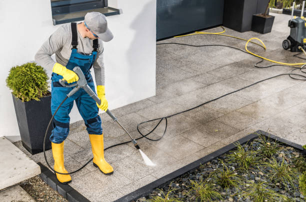 Best Exterior Home Cleaning  in Apalachin, NY