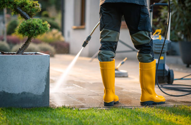 Best Pressure Washing Company Near Me  in Apalachin, NY